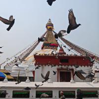 Circuit Nepal - India | 12 zile | Avion 