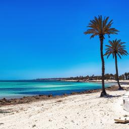 circuit tunisia cartagina plaja