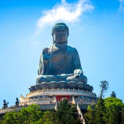 circuit china buddha