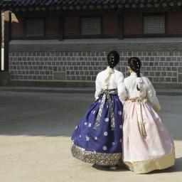 circuit coreea de sud festivalul florilor de cires busan