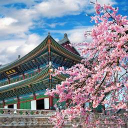 circuit coreea de sud japonia