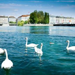 circuit franta geneva alsacia istorie si savoare