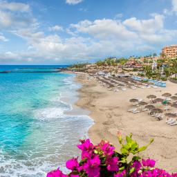 circuit tenerife playa de las americas