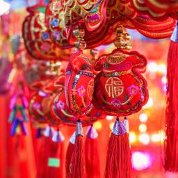 circuit revelion vietnam
