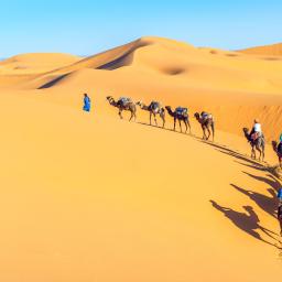 excursie revelion maroc avion