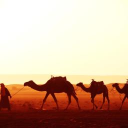 vacanta revelion maroc avion