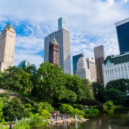 oferta circuit New York  Thanksgiving Day