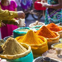 Vacanta India 11 Zile  Avion Triunghiul de Aur si Festivalul Holi