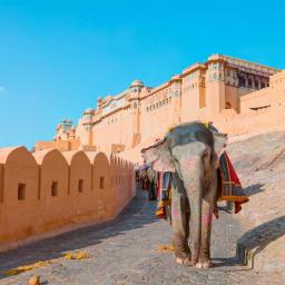 Escapada India 11 Zile  Avion Triunghiul de Aur si Festivalul Holi