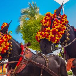 Vacanta Andaluzia  8 zile Carnaval Cadiz Avion