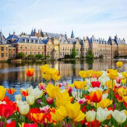 Oferte Amsterdam 5 zile