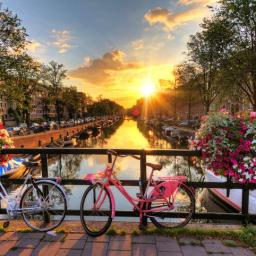 Vizita Amsterdam 5 zile Avion 2027