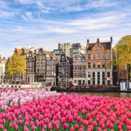 Reducere Amsterdam 5 zile Avion 2027