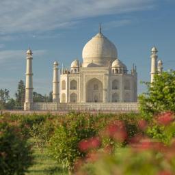 Vizita India 10 zile Avion