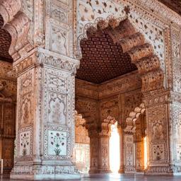 Reducere India 10 zile