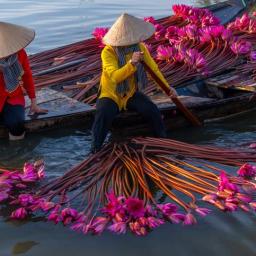 Vacanta Indochina Autentica 17 zile Avion