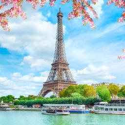 Paste Paris 5 zile Avion
